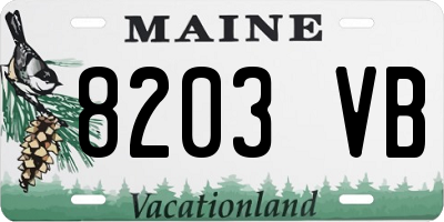 ME license plate 8203VB