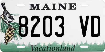 ME license plate 8203VD