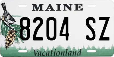 ME license plate 8204SZ