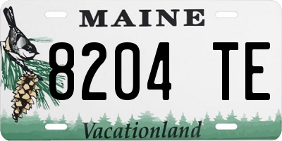 ME license plate 8204TE