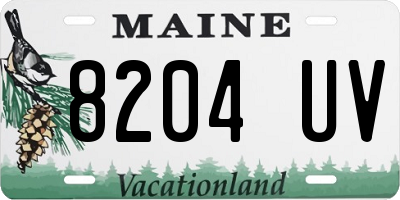 ME license plate 8204UV