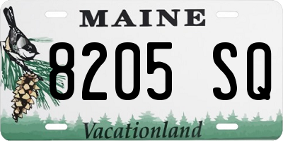 ME license plate 8205SQ