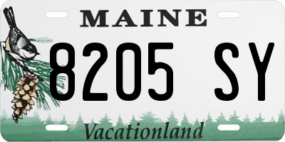 ME license plate 8205SY