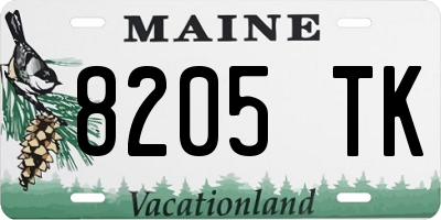 ME license plate 8205TK
