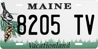 ME license plate 8205TV