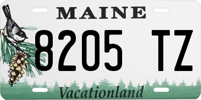 ME license plate 8205TZ