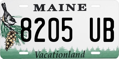 ME license plate 8205UB