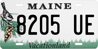 ME license plate 8205UE