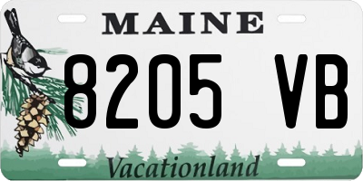 ME license plate 8205VB