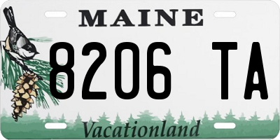 ME license plate 8206TA