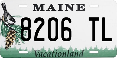 ME license plate 8206TL