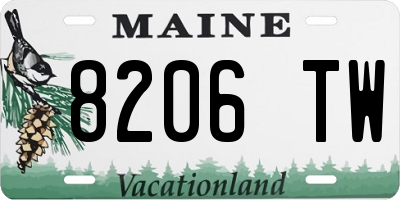 ME license plate 8206TW