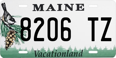 ME license plate 8206TZ