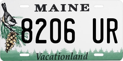 ME license plate 8206UR