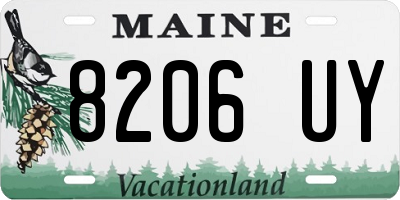 ME license plate 8206UY