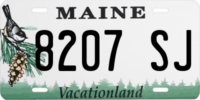 ME license plate 8207SJ