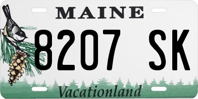 ME license plate 8207SK