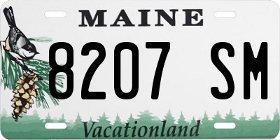 ME license plate 8207SM