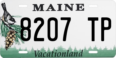 ME license plate 8207TP