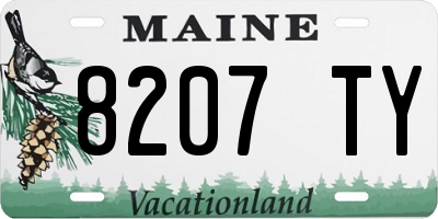 ME license plate 8207TY