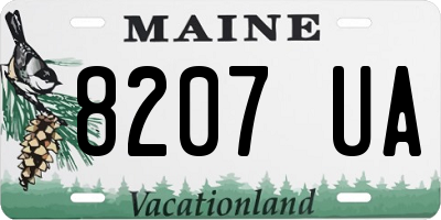 ME license plate 8207UA