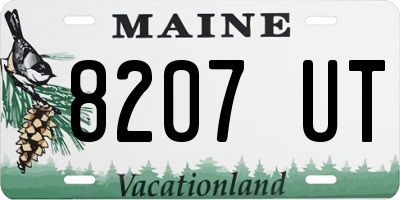 ME license plate 8207UT