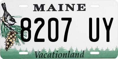 ME license plate 8207UY