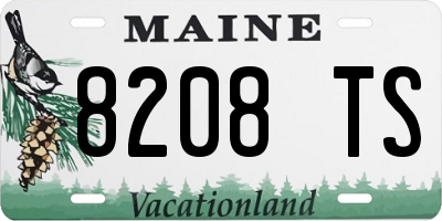 ME license plate 8208TS