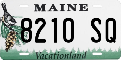 ME license plate 8210SQ