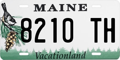 ME license plate 8210TH