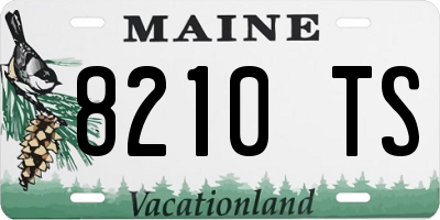 ME license plate 8210TS