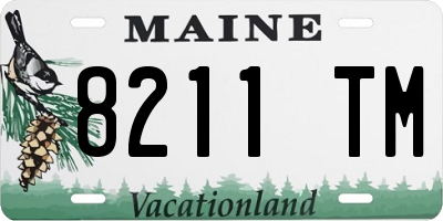 ME license plate 8211TM