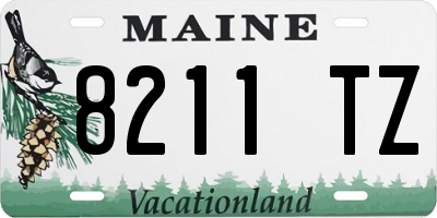 ME license plate 8211TZ