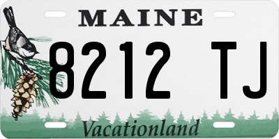 ME license plate 8212TJ