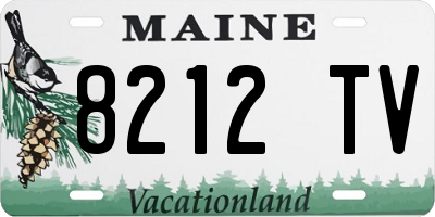 ME license plate 8212TV