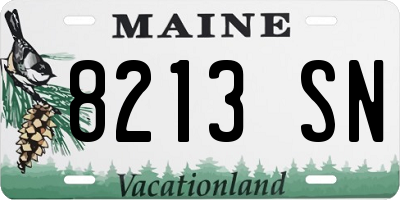 ME license plate 8213SN