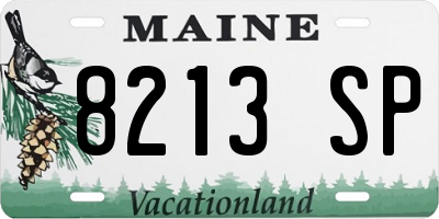 ME license plate 8213SP