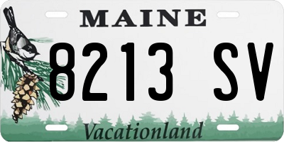 ME license plate 8213SV