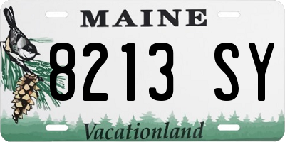 ME license plate 8213SY
