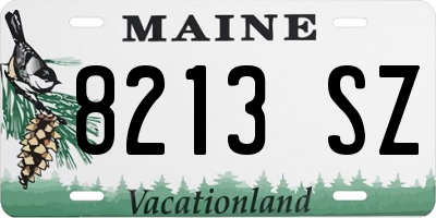 ME license plate 8213SZ