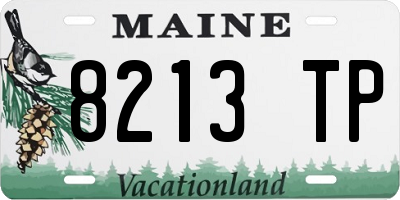 ME license plate 8213TP