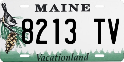 ME license plate 8213TV