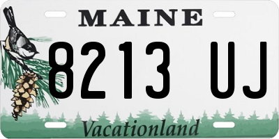 ME license plate 8213UJ