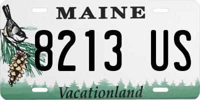 ME license plate 8213US