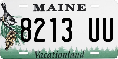 ME license plate 8213UU