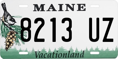 ME license plate 8213UZ