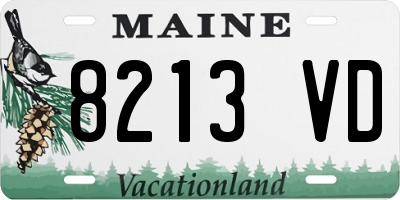 ME license plate 8213VD