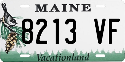 ME license plate 8213VF