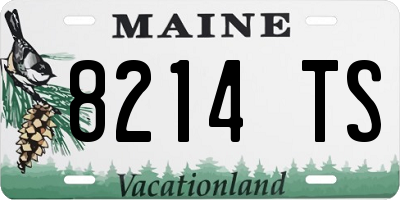 ME license plate 8214TS