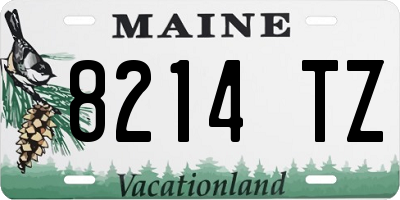 ME license plate 8214TZ